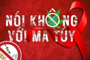 Tăng cường phối hợp thực hiện Chương trình mục tiêu quốc gia phòng, chống ma túy đến năm 2030