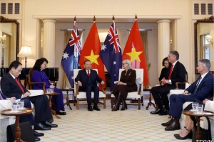 Tổng Bí thư, Chủ tịch nước Tô Lâm hội kiến Toàn quyền Australia