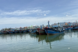 Siết quản lý đội tàu, xử lý dứt điểm vi phạm để gỡ “thẻ vàng” IUU