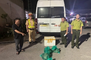 Quảng Ninh: Phát hiện xe ô tô khách vận chuyển 3 cá thể cầy vòi hương không có giấy tờ chứng minh nguồn gốc