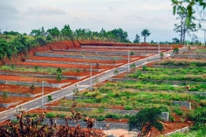 Lâm Đồng ban hành quy định mới về tách thửa, xây công trình trên đất nông nghiệp