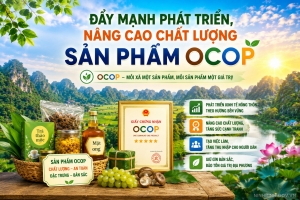 Ninh Bình: Nâng cao chất lượng sản phẩm OCOP trên địa bàn tỉnh