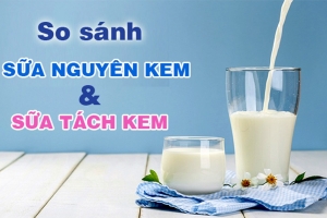 Nghiên cứu mới giải mã tác động của sữa nguyên kem đối với cân nặng và lợi ích giảm nguy cơ ung thư đại trực tràng