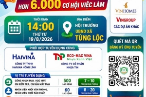 Hà Tĩnh: Tổ chức phiên tuyển dụng hơn 6.000 vị trí việc làm tại các doanh nghiệp