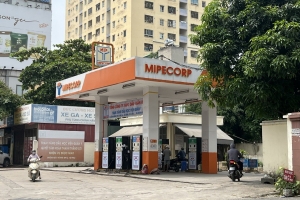 Giá xăng dầu hôm nay 19/8: Giá dầu thế giới neo ở mức cao