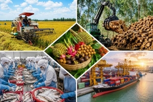 Xuất siêu 11,67 tỷ USD, nông lâm thủy sản tiếp tục giữ vai trò “bệ đỡ” thương mại