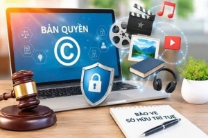 Hà Tĩnh tăng cường bảo vệ quyền tác giả, quyền liên quan trong hoạt động kinh doanh