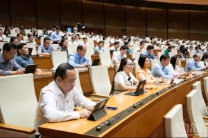 Quốc hội biểu quyết thông qua 6 luật, thảo luận sửa đổi Bộ luật Hình sự