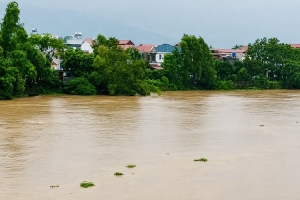 Lũ khẩn cấp trên sông Lục Nam, sông Thương và sông Cầu