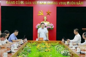 Phú Thọ tăng tốc triển khai các dự án đô thị xanh, nhà ở xã hội
