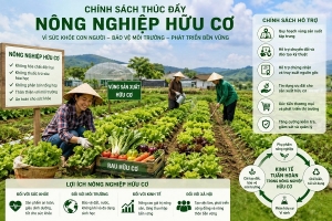 Nông nghiệp hữu cơ cần chính sách để tạo động lực chuyển đổi xanh