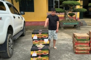 Bộ đội Biên phòng tỉnh Cao Bằng: Bắt giữ 2 vụ vận chuyển hàng hóa không rõ nguồn gốc