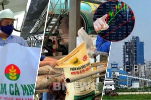 Cổ phiếu phân bón bước vào giai đoạn kiểm chứng sức bền lợi nhuận