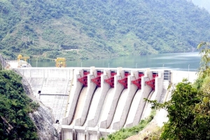 Năng lượng Bắc Hà lãi gần 27 tỷ đồng, dư nợ trái phiếu hơn 324 tỷ