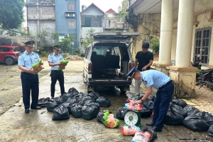 Lạng Sơn: Phát hiện 144 túi thực phẩm nhập khẩu không có hóa đơn, chứng từ
