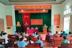 Mức phụ cấp của Bí thư Chi bộ kiêm trưởng thôn do từng địa phương quyết định
