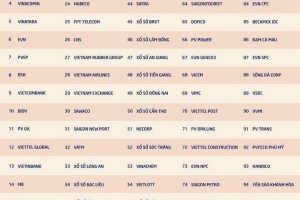 EVNGENCO1 vào Top 100 doanh nghiệp nhà nước đóng góp ngân sách lớn nhất Việt Nam
