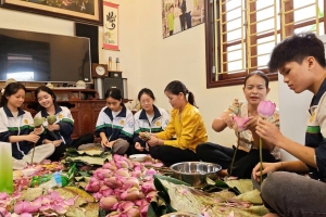 Từ ruộng trũng kém hiệu quả đến vùng sen Bách Diệp cho giá trị cao