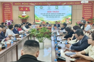 Lâm Đồng thúc đẩy liên kết chuỗi giá trị nông nghiệp, gắn sản xuất với tiêu thụ