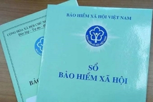 Quy định chi tiết về lộ trình tham gia bảo hiểm xã hội đối với chủ hộ kinh doanh