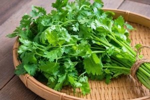 Rau mùi - Loại rau không chỉ để làm gia vị mà còn mang lại nhiều lợi ích cho cơ thể