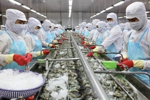 Thủy sản Cà Mau nâng chuẩn để tận dụng “dư địa” từ các FTA