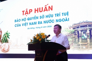 Hỗ trợ về bảo hộ quyền sở hữu trí tuệ của Việt Nam ra nước ngoài
