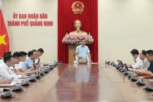 Quảng Ninh: Đẩy nhanh giải phóng mặt bằng các dự án điện và khu công nghiệp