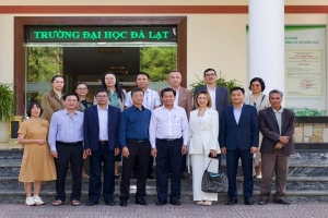 Đưa nghiên cứu cây atiso từ giảng đường đến vùng nguyên liệu