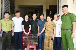 Hà Tĩnh: Tiếp nhận cá thể kỳ đà hoa quý hiếm do người dân giao nộp
