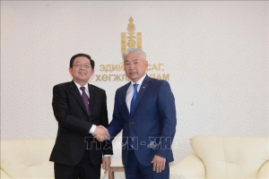 Phó Thủ tướng Hồ Quốc Dũng làm việc với Phó Thủ tướng Thường trực, Bộ trưởng Kinh tế và Phát triển Mông Cổ