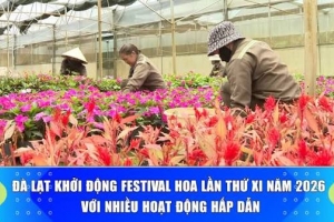 Lâm Đồng: Sẵn sàng đón Festival Hoa Đà Lạt lần thứ XI