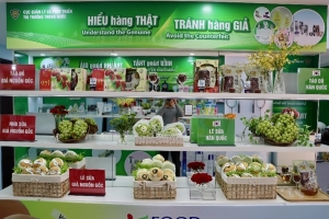 Doanh nghiệp không thể chỉ “chờ” cơ quan quản lý chống hàng giả