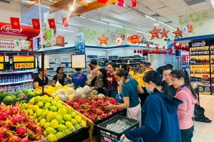 Hà Tĩnh: Tổng doanh thu bán lẻ hàng hóa và dịch vụ tiêu dùng 8 tháng đạt hơn 52.751 tỷ đồng