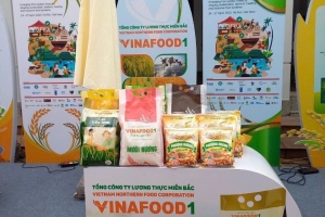 Vinafood 1: Nợ phải trả vượt 10.000 tỷ đồng