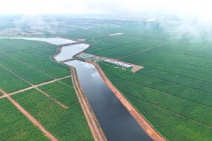 Chuẩn hóa quy trình – nền tảng duy trì GLOBALG.A.P tại Khu liên hợp Snuol