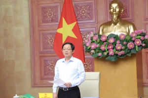 Quy hoạch lâm nghiệp phải thống nhất, sát thực tiễn, bảo đảm sinh kế người dân