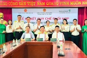 Thuế Lào Cai: Cải thiện PCI từ chất lượng phục vụ doanh nghiệp