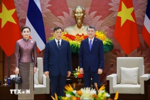 Việt Nam và Thái Lan còn nhiều dư địa để bổ trợ và cùng nhau phát triển