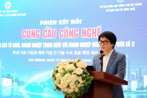 Hải Phòng: Kết nối cung cầu công nghệ giữa các tổ chức, doanh nghiệp trong nước với các doanh nghiệp nước ngoài