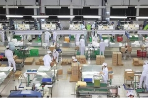 Hoàn thuế giá trị gia tăng tự động cho doanh nghiệp từ tháng 10
