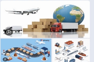 Lâm Đồng mở “đường băng” logistics cho nông sản
