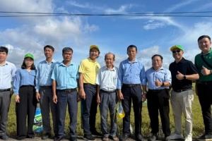 Vụ thứ hai canh tác lúa thông minh, phát thải thấp tại Tây Ninh: Giảm chi phí, lợi nhuận tăng hơn 27%
