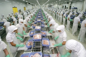 Vĩnh Hoàn rót 13,26 tỷ đồng qua công ty con để lập công ty mới