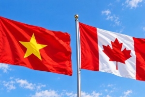 Việt Nam - Canada: Từ lợi thế thương mại đến liên kết chuỗi giá trị
