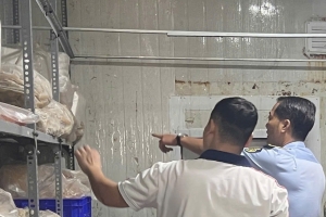 Đồng Nai: Hơn 256 kg thịt gà không ghi hạn sử dụng bị buộc tiêu hủy