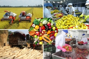Hà Nội: Tăng cường giám sát chất lượng nông, lâm, thủy sản