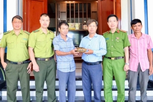 Hà Tĩnh: Người dân tự nguyện giao nộp cá thể rùa núi vàng quý hiếm