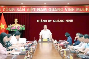 Ban Thường vụ Thành ủy Quảng Ninh cho ý kiến về nhiều nội dung quan trọng