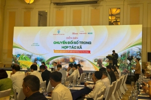 Chuyển đổi số trong hợp tác xã: Từ dữ liệu sản xuất đến mở rộng thị trường